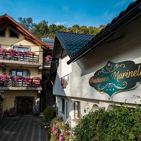 Pensiunea Marinela Sighetu Marmaţiei Exteriér fotografie