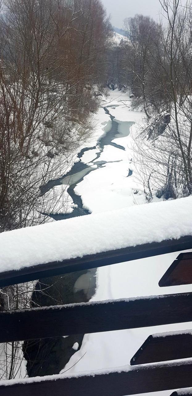 Pensiunea Marinela Sighetu Marmaţiei Exteriér fotografie